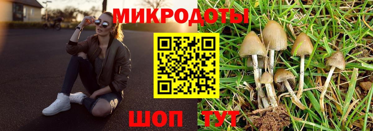 Псилоцибиновые грибы Magic Shrooms  Вход с VPN  Ростов-на-Дону  Псилоцибиновые грибы MAGIC MUSHROOMS 
